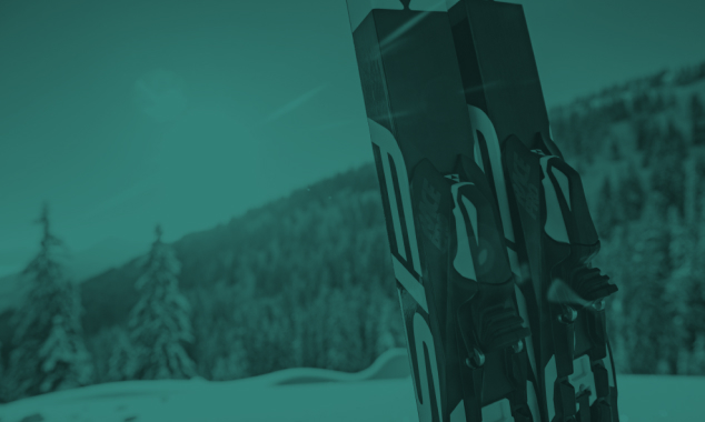 Беговые лыжи